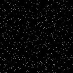 Blossom - White Confetti on Black by Christopher Thompson; Sold in Half Yard Increments