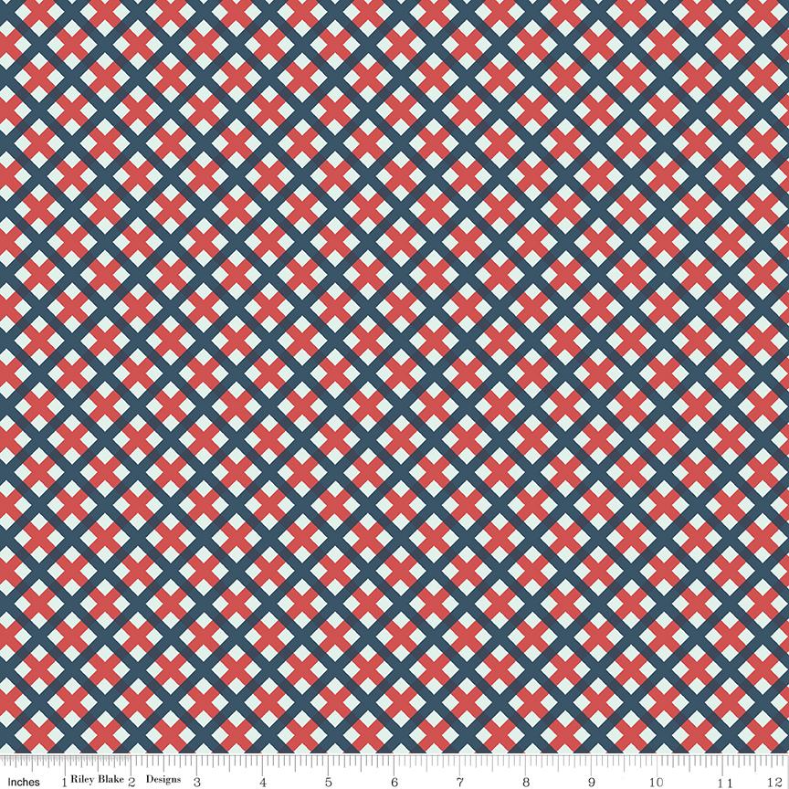 Sweet Freedom Gingham Picnic in Multicolor (Red white blue) by Beverly McCullough of Flamingo Toes; Sold in Half Yard Increments