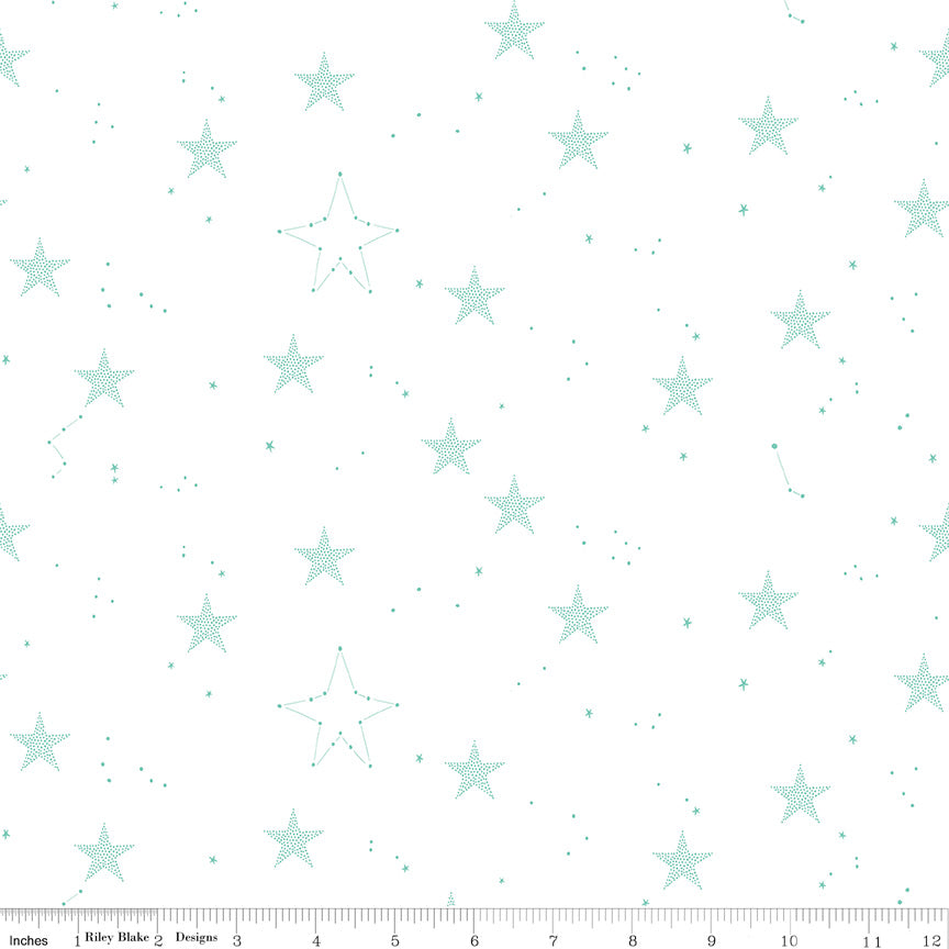 Wish Upon A Star from Hush Hush 5 by Sarah Jane; Sold in Half Yard Increments