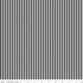 Black 1/8 Inch Stripe on White; Basics Collection for Riley Blake Designs; Sold in Half Yard Increments